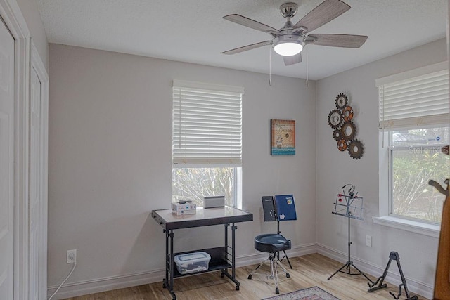 office with light hardwood / wood-style floors and ceiling fan