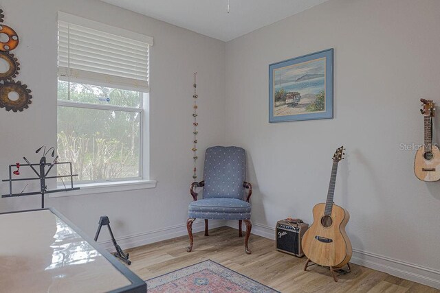 living area with wood-type flooring