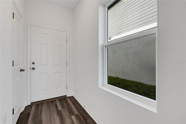 entryway featuring dark hardwood / wood-style floors