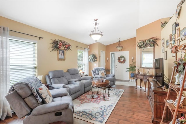 living room with vaulted ceiling and dark wood-type flooring