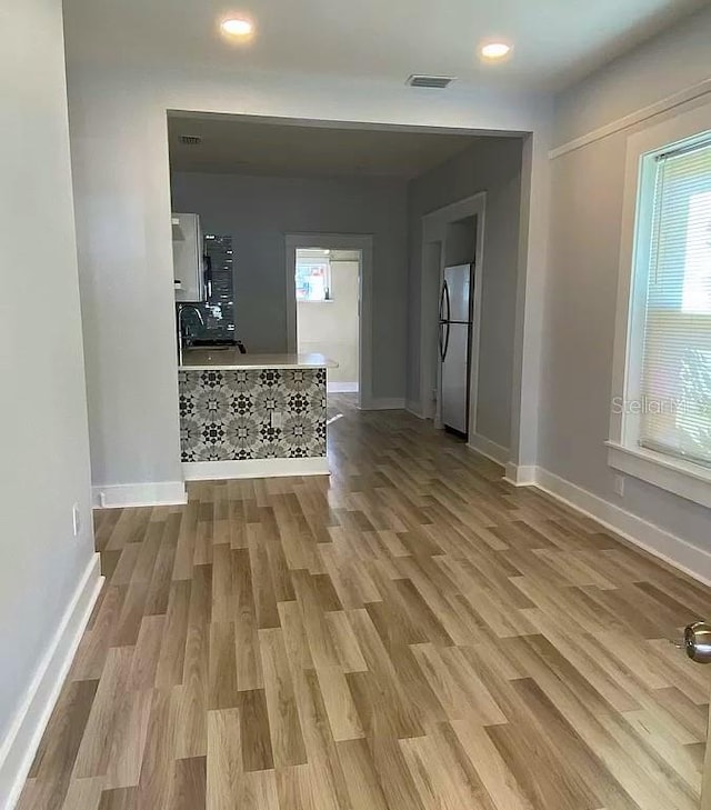 interior space featuring light wood-type flooring, plenty of natural light, and sink