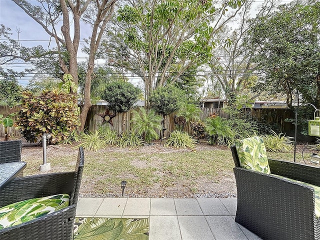 view of yard with a patio