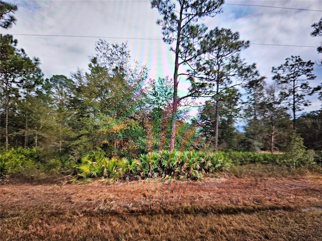 Creager Ave, Interlachen FL, 32148 land for sale