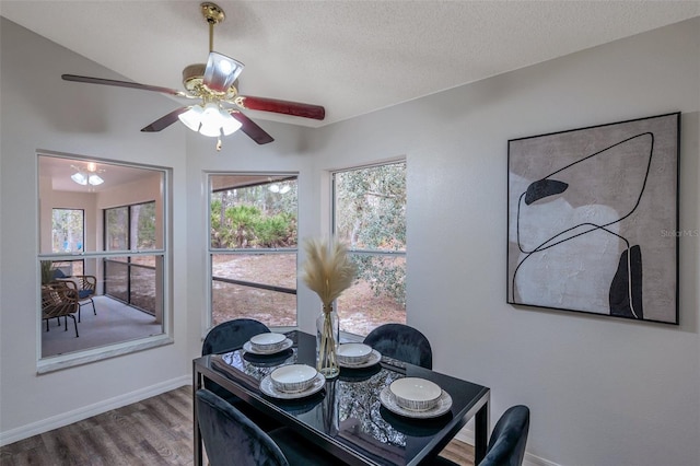 dining area with ceiling fan, hardwood / wood-style floors, and a textured ceiling