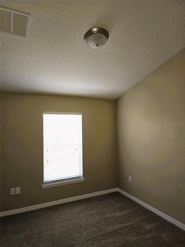 6769 Breezy Palm Dr, Riverview, FL 33578 - empty room with dark colored carpet, baseboards, and a textured ceiling