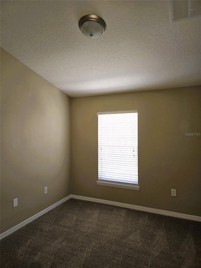 6769 Breezy Palm Dr, Riverview, FL 33578 - empty room featuring dark colored carpet, a textured ceiling, and baseboards