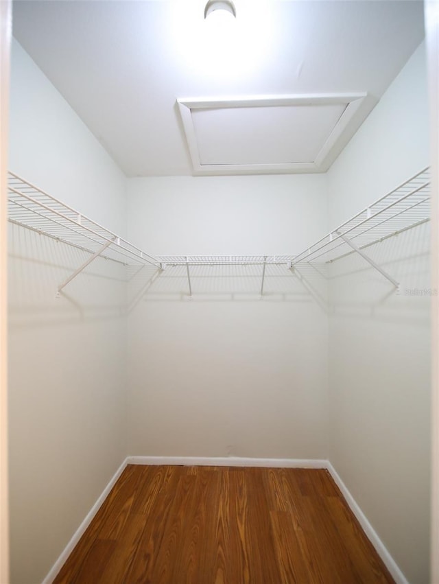 walk in closet featuring wood-type flooring