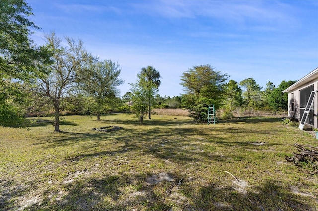 915 Poinsettia Ave, Lehigh Acres, FL 33972 - view of yard