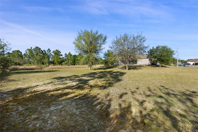 915 Poinsettia Ave, Lehigh Acres, FL 33972 - view of yard