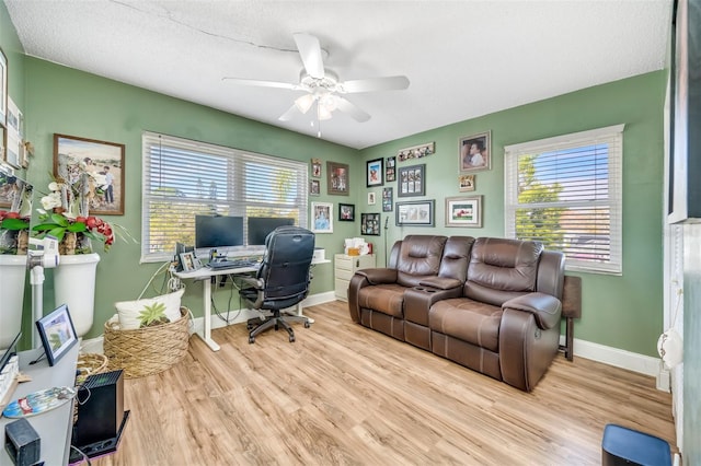 office space featuring ceiling fan, a healthy amount of sunlight, light wood-type flooring, and a textured ceiling