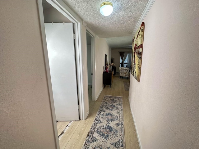 hallway with a textured ceiling and light wood-type flooring