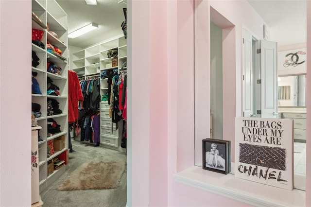 spacious closet with carpet floors