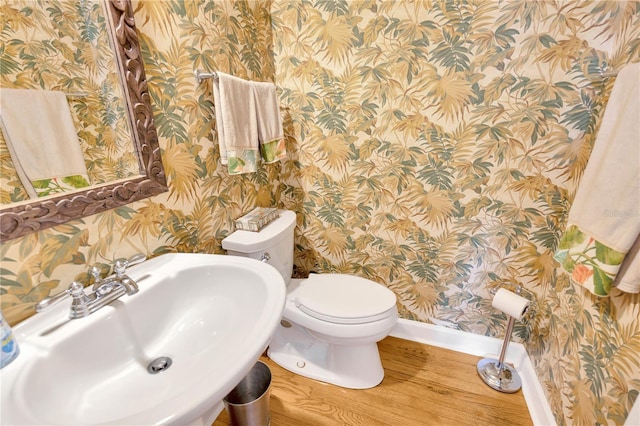 bathroom with toilet, sink, and hardwood / wood-style flooring