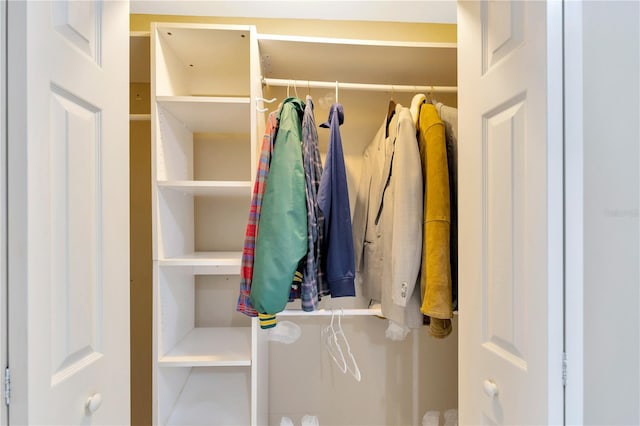 view of closet