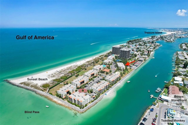 drone / aerial view with a water view and a beach view