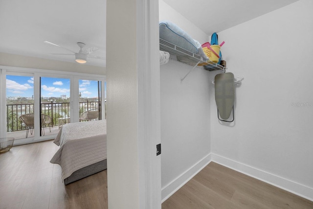 walk in closet featuring a ceiling fan and wood finished floors