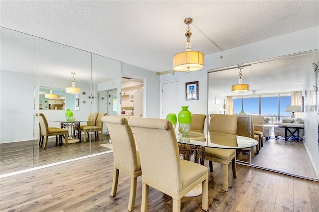 dining room featuring a wall of windows, a textured ceiling, and hardwood / wood-style floors