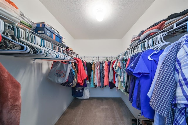 12127 Luftburrow Ln, Hudson, FL 34669 - spacious closet with carpet flooring