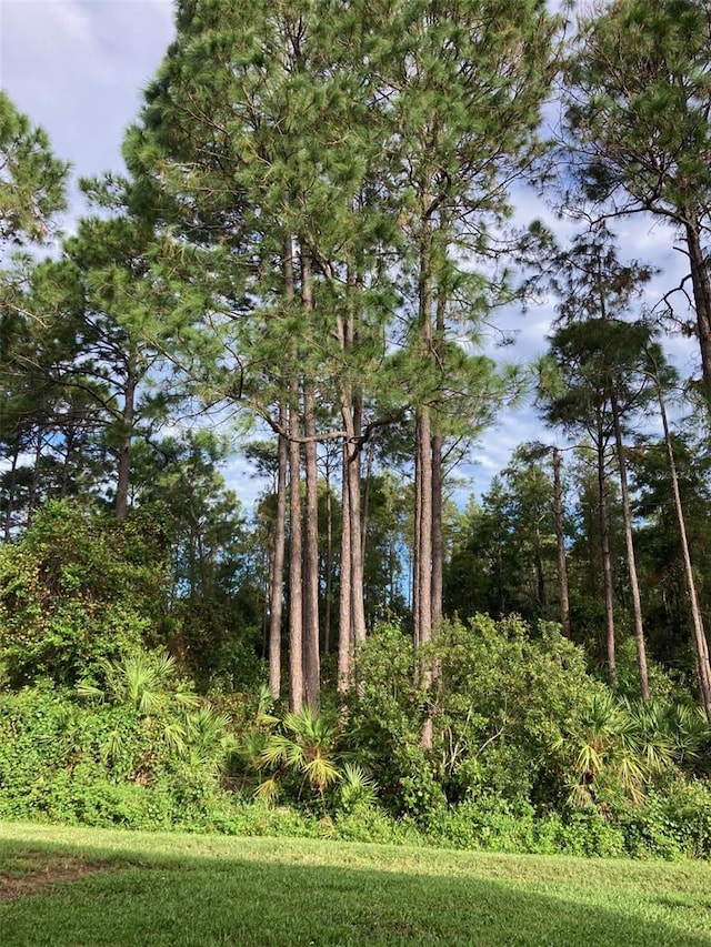 12127 Luftburrow Ln, Hudson, FL 34669 - view of landscape