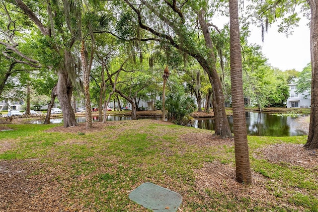 view of yard with a water view