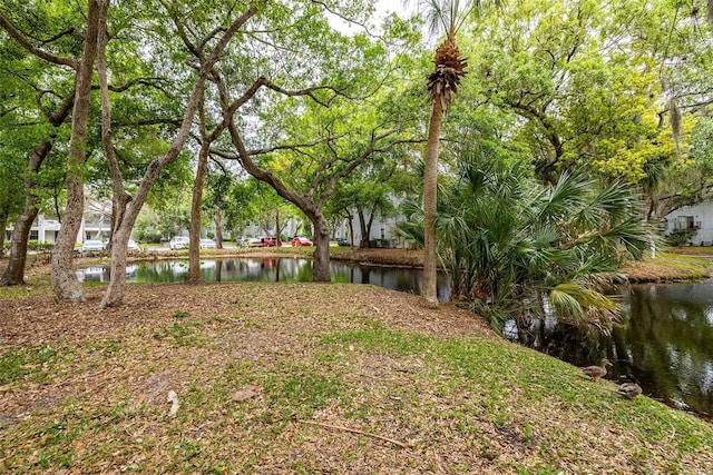 view of yard with a water view