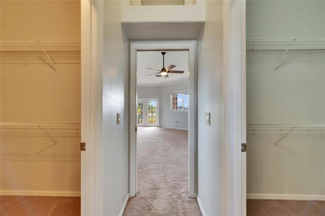 spacious closet featuring carpet flooring and ceiling fan