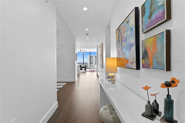 corridor with floor to ceiling windows and hardwood / wood-style floors