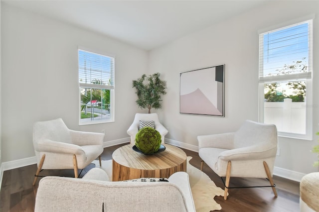 living area featuring hardwood / wood-style flooring