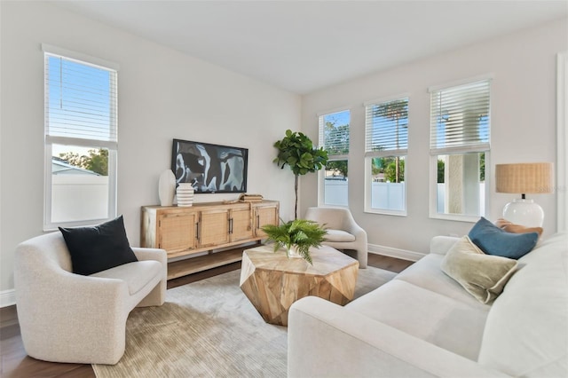 living room featuring hardwood / wood-style floors