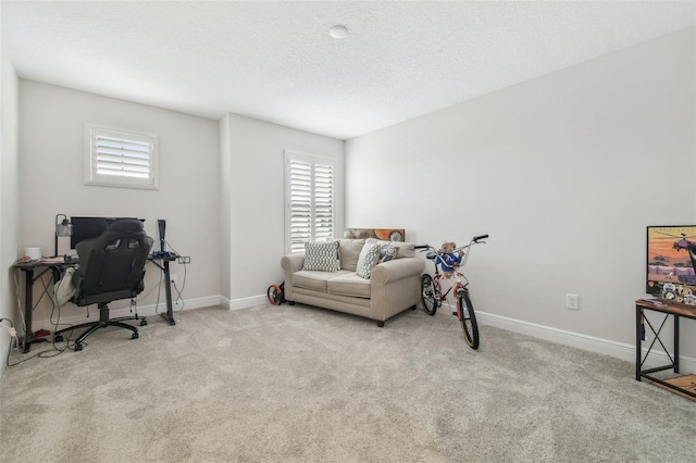 home office featuring light colored carpet and a textured ceiling