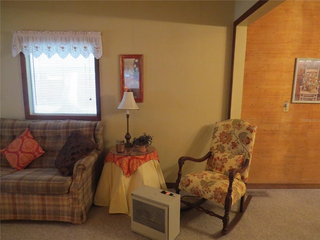 living area featuring heating unit and carpet flooring