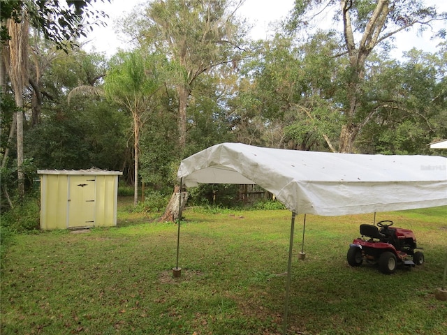 view of yard with a storage shed