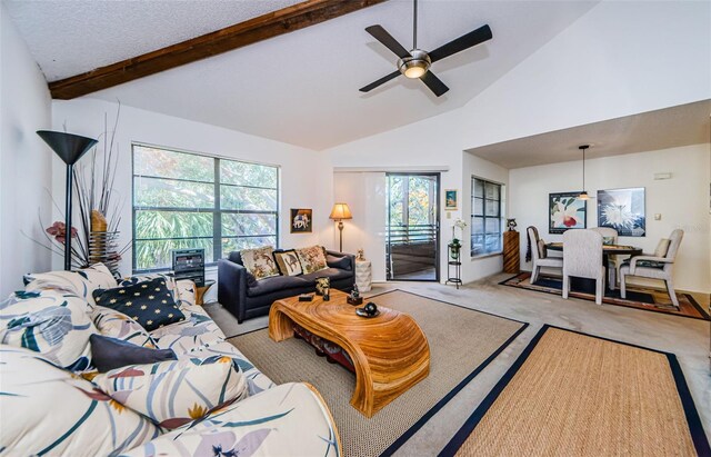 204 Lennox Rd W, W, Palm Harbor, FL 34683 - living room featuring beamed ceiling, ceiling fan, high vaulted ceiling, and light carpet