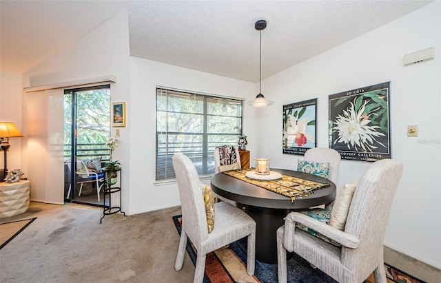 204 Lennox Rd W, W, Palm Harbor, FL 34683 - dining space with plenty of natural light, vaulted ceiling, carpet, and a textured ceiling