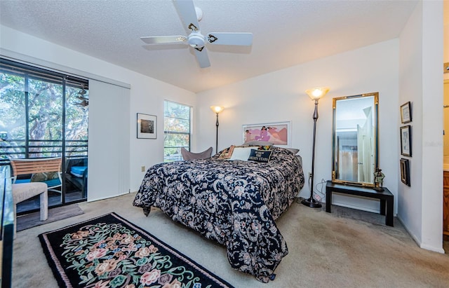 204 Lennox Rd W, W, Palm Harbor, FL 34683 - carpeted bedroom with ceiling fan, access to outside, and a textured ceiling