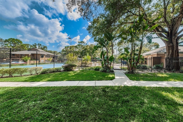 204 Lennox Rd W, W, Palm Harbor, FL 34683 - view of property's community featuring a yard and tennis court