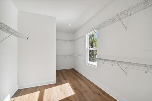 spacious closet featuring hardwood / wood-style floors