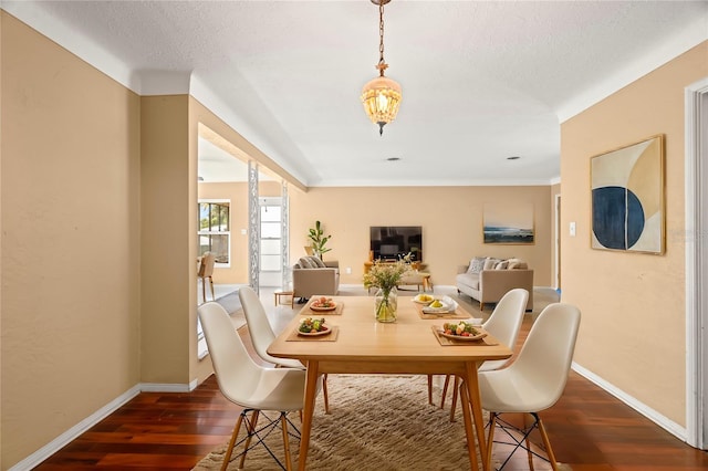 dining room with a textured ceiling and dark hardwood / wood-style flooring