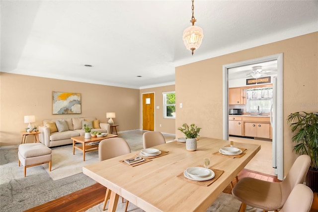 dining space with sink and light hardwood / wood-style flooring