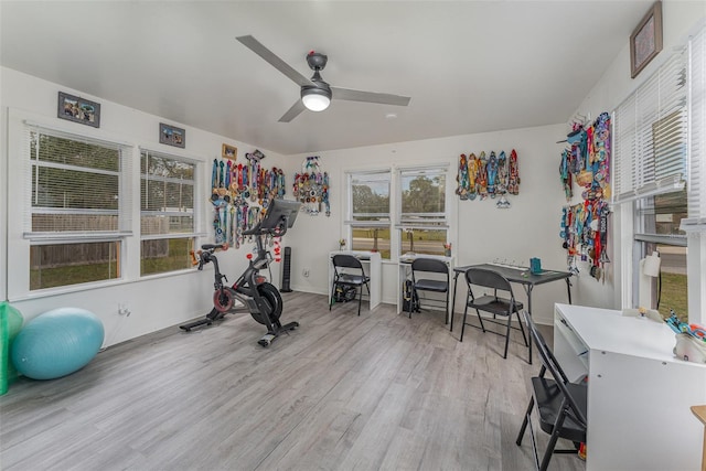 workout room with ceiling fan and light hardwood / wood-style floors