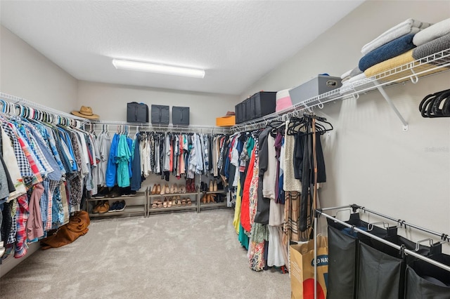 walk in closet featuring carpet