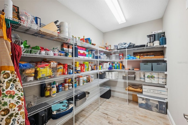 14786 Horse Trot Rd, Lithia, FL 33547 - view of pantry