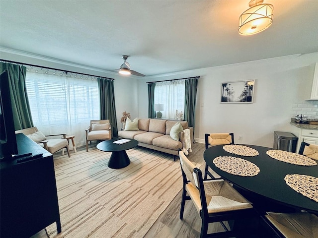 living room featuring a healthy amount of sunlight and light hardwood / wood-style floors