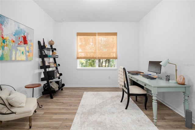 office featuring light hardwood / wood-style flooring