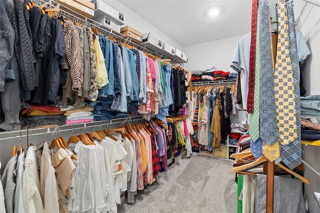 walk in closet featuring carpet flooring