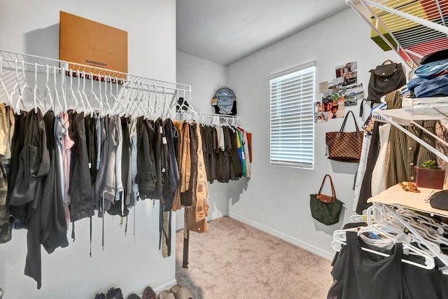 walk in closet with carpet flooring