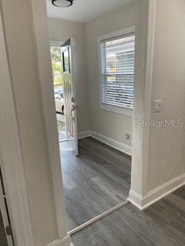 hallway featuring a wealth of natural light and dark hardwood / wood-style floors