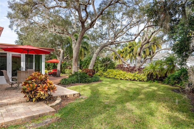 view of yard with french doors and a patio