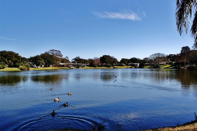 view of water feature