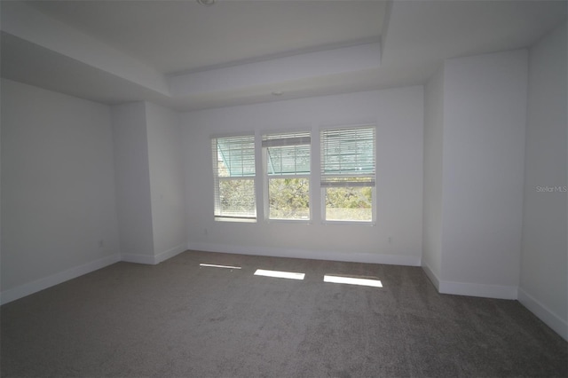 carpeted spare room with a tray ceiling